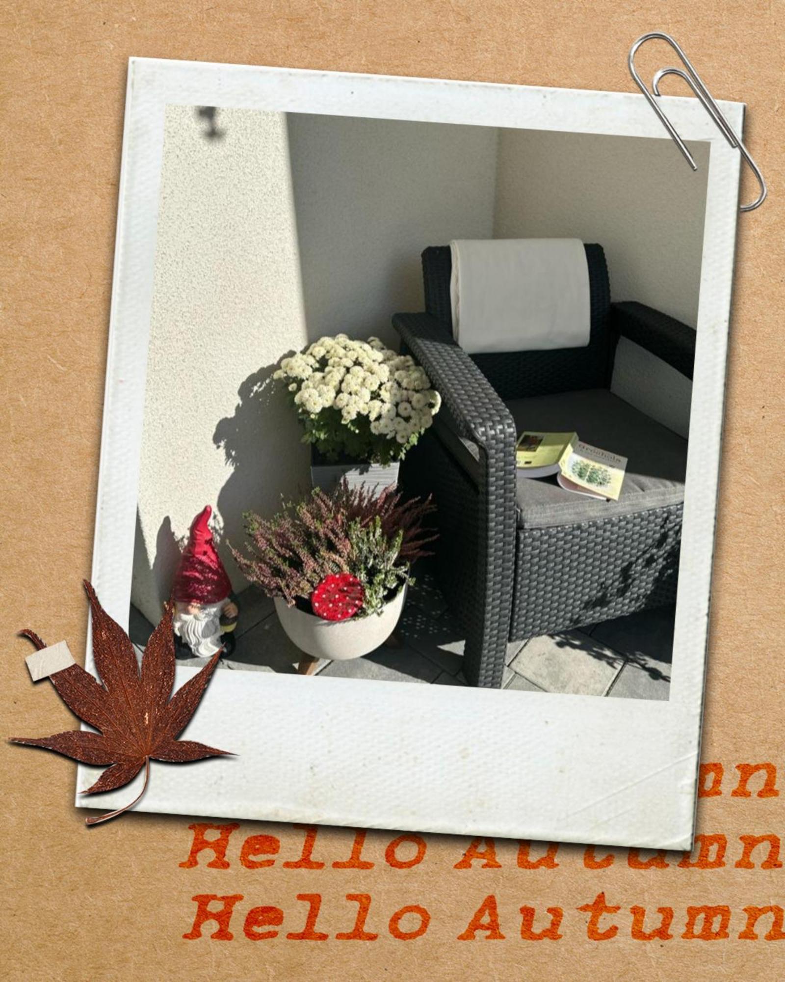 Solek Apartamenty I Pokoje Goscinne Mielno  Extérieur photo