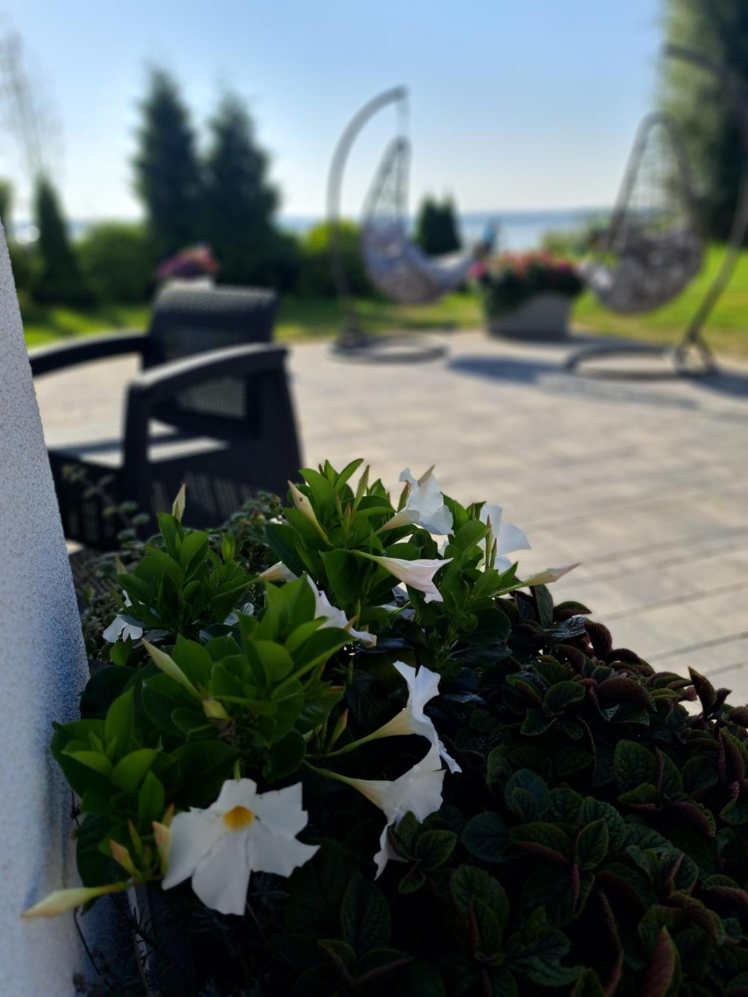 Solek Apartamenty I Pokoje Goscinne Mielno  Extérieur photo